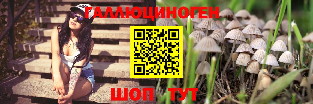 Псилоцибиновые грибы MAGIC MUSHROOMS Рассказово