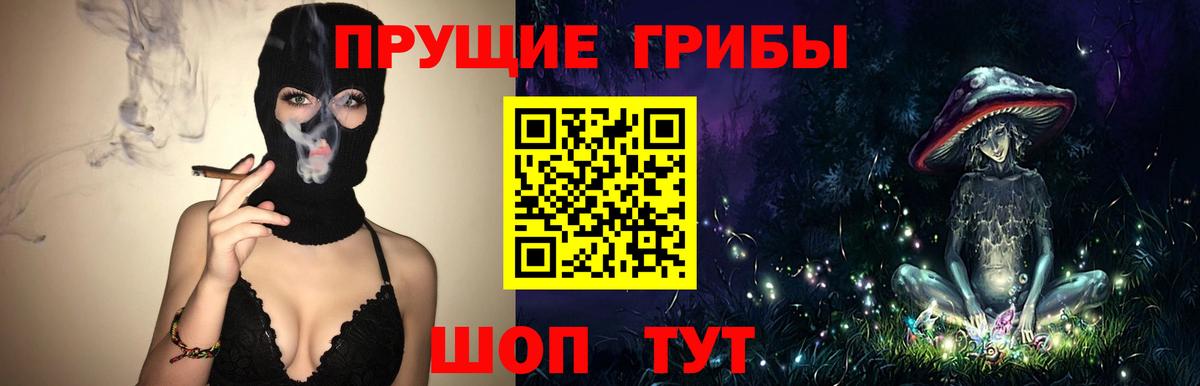 Рассказово  Псилоцибиновые грибы Magic Shrooms  Вход с VPN 