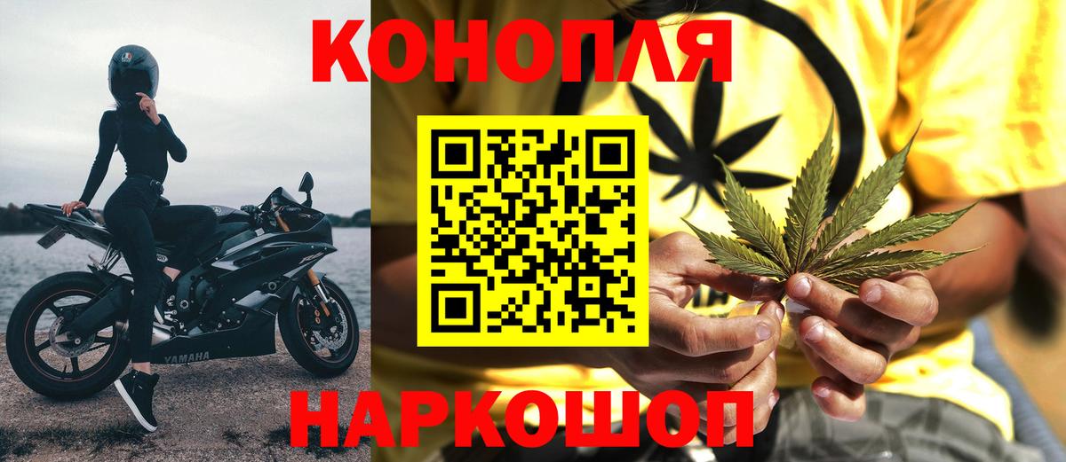 Канабис OG Kush Рассказово